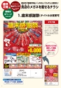 2013冬企画